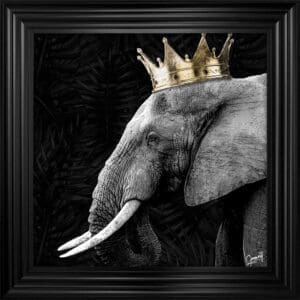 Elephant King Framed Artwork featuring a Lion in a modern monotone style by © Greavesy in a Matt Black Frame
