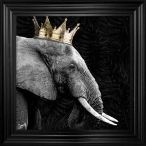 Elephant King Framed Artwork featuring a Lion in a modern monotone style by © Greavesy in a Matt Black Frame