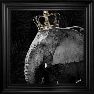 Elephant Queen Framed Artwork featuring a Lion in a modern monotone style by © Greavesy in a Matt Black Frame